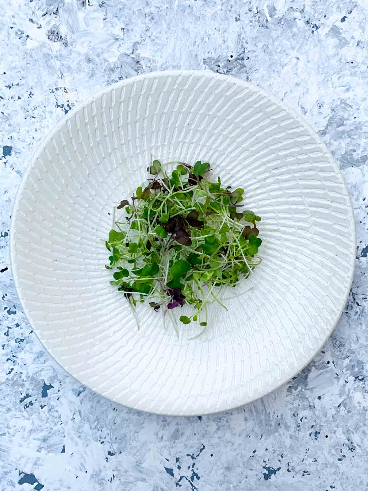 Microgreen salad mix on a white plate