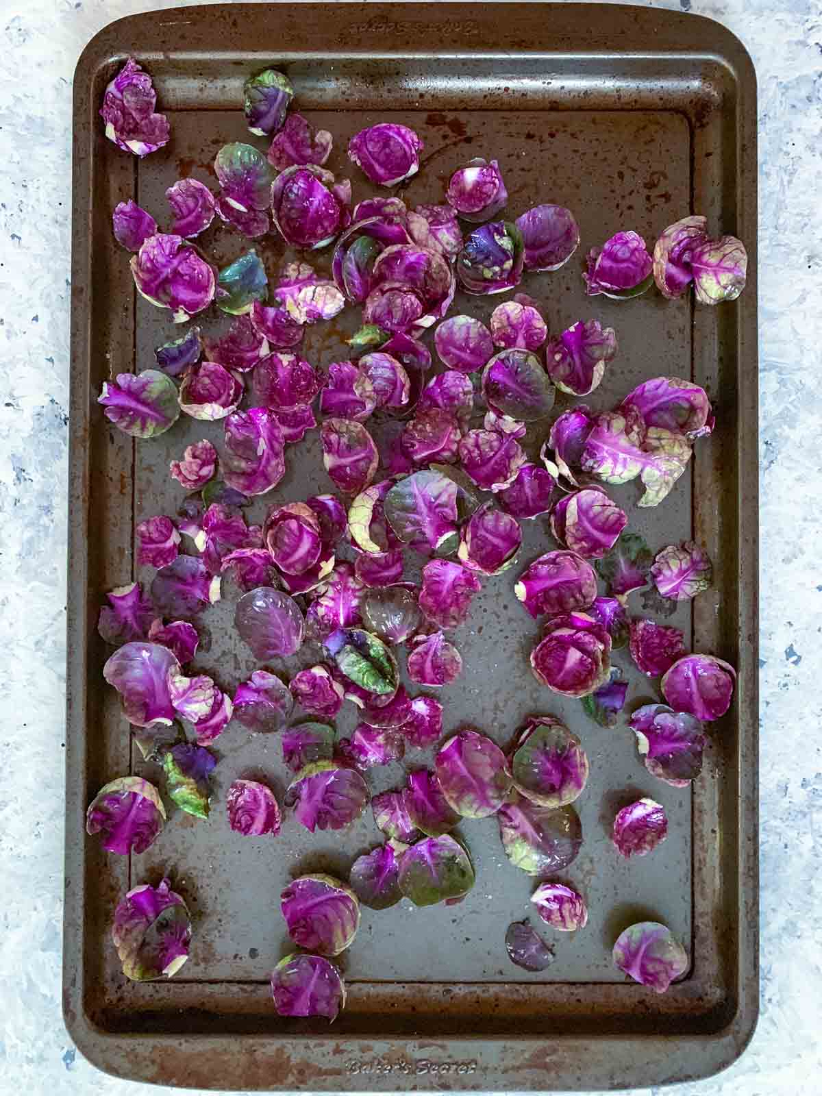 Purple Brussels sprouts leaves ready for roasting on a sheet pan