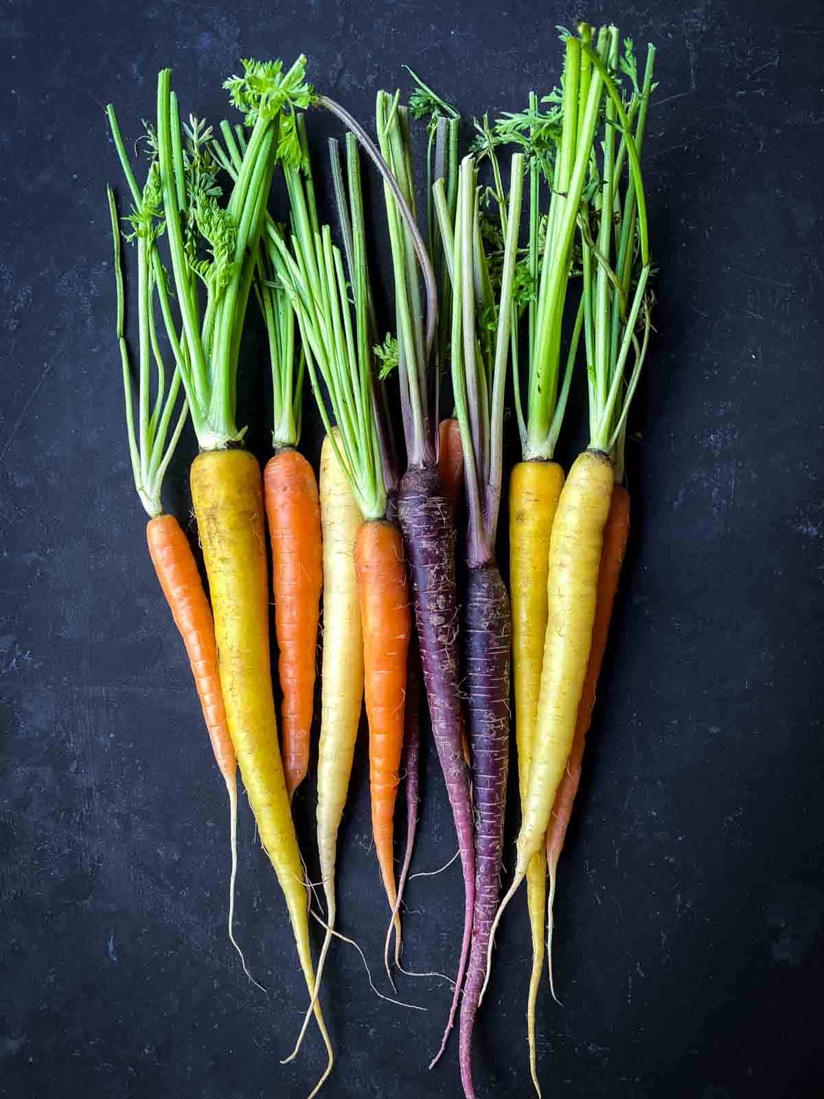 Heirloom rainbow carrots of orange, yellow and purple carrots