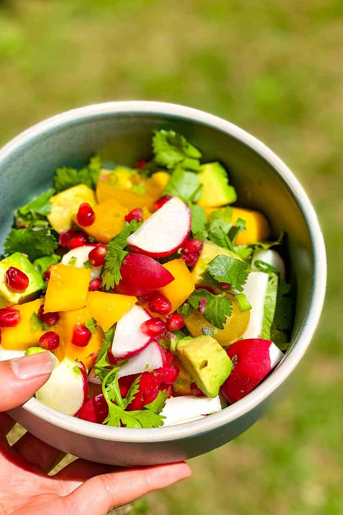 Hand holding a bowl of Spicy Mango Avocado Salsa