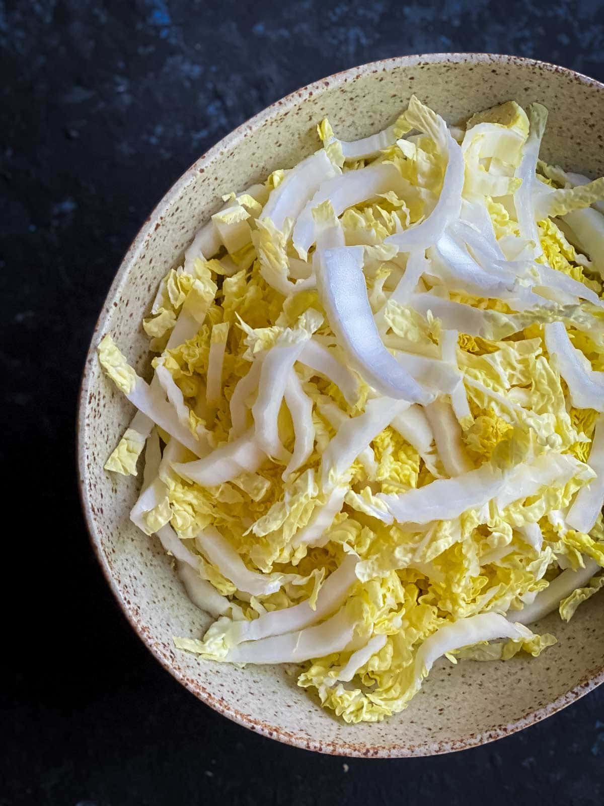 Bowl of thinly sliced Chinese cabbage