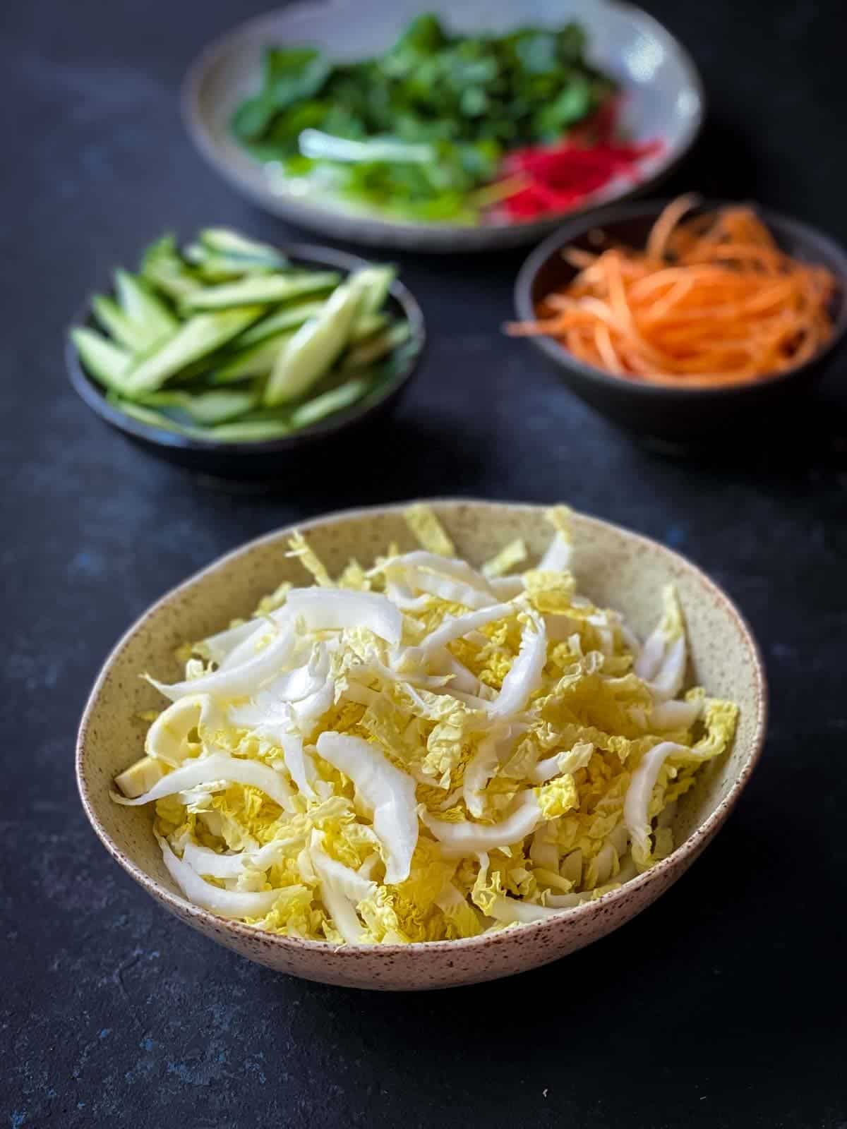 Bowl of thinly sliced Chinese cabbage at the forefront of other prepared ingredients