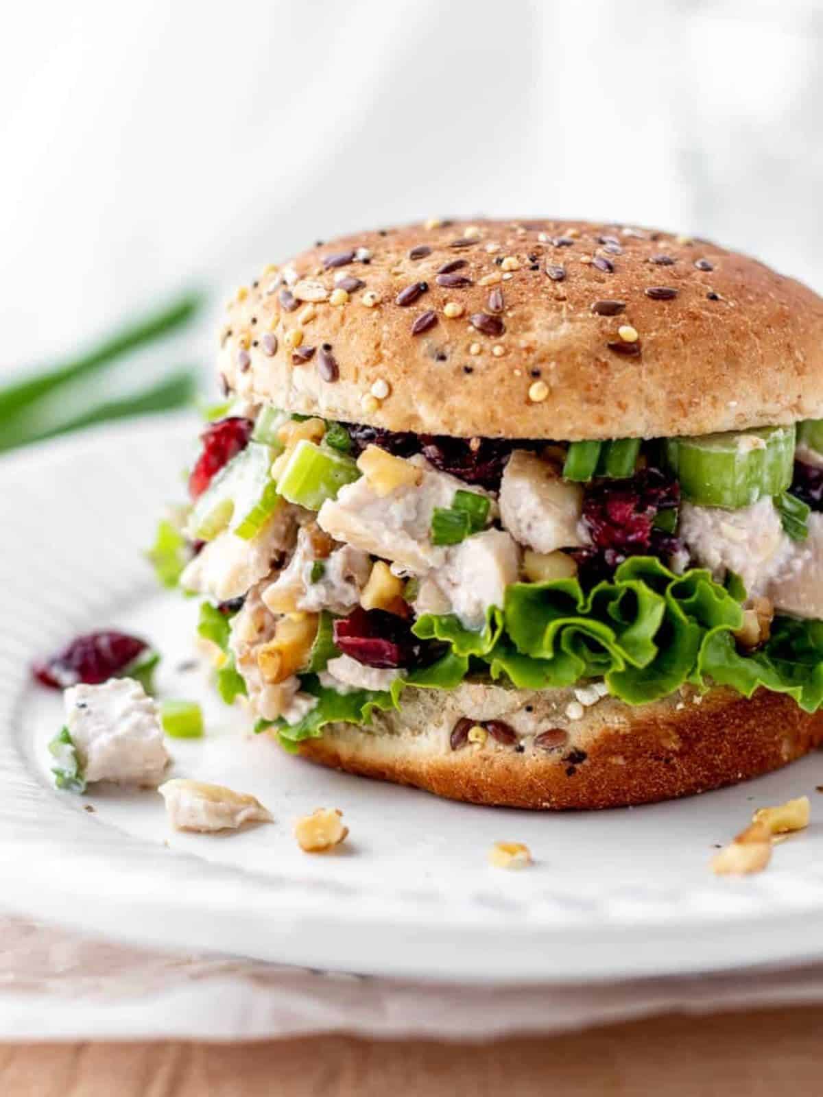 cranberry walnut chicken salad in a seeded bun on a white plate