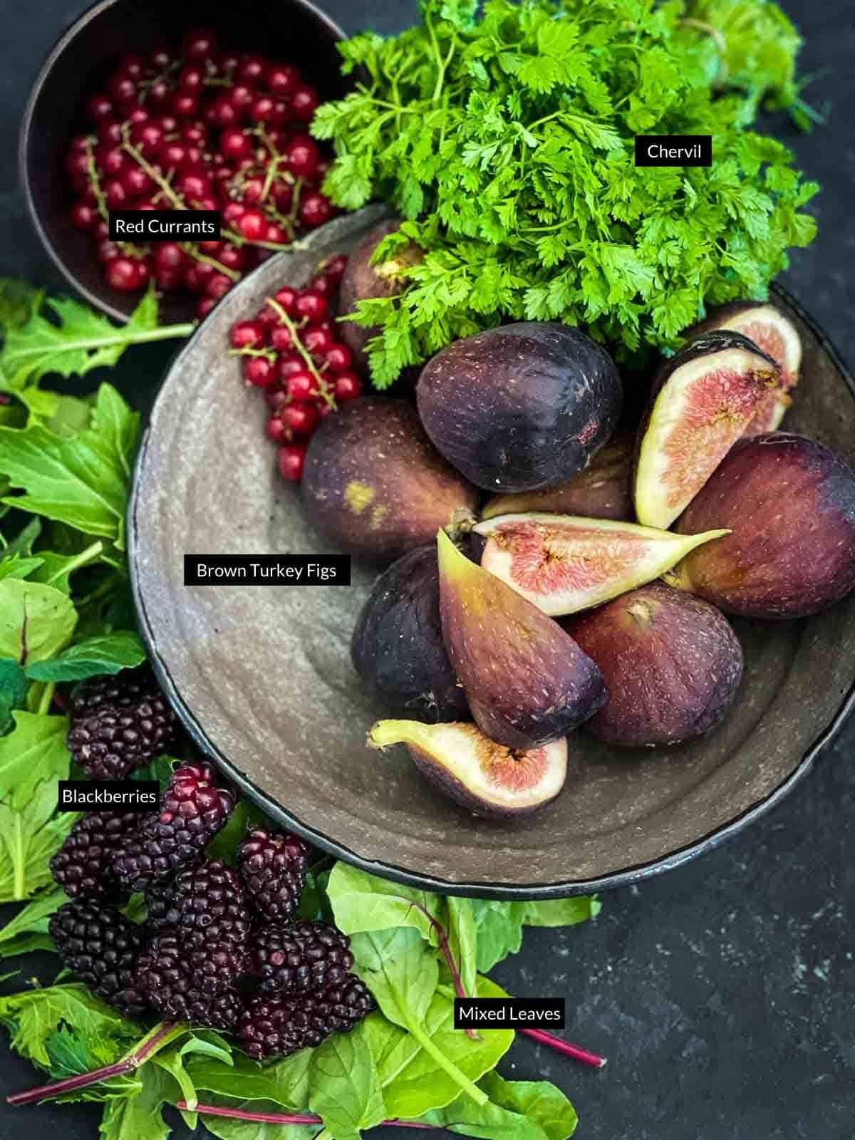 individually labelled ingredients for red currants salad