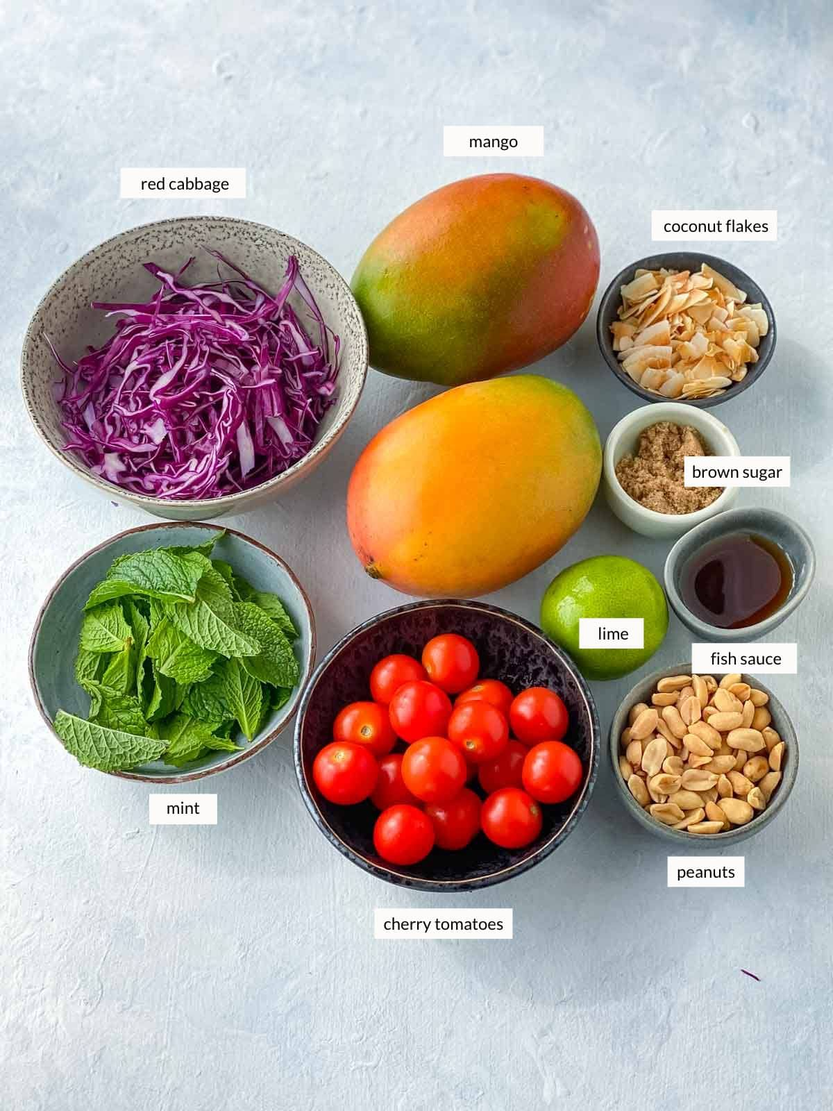 Individually labelled ingredients for Tropical Mango Salad Recipe