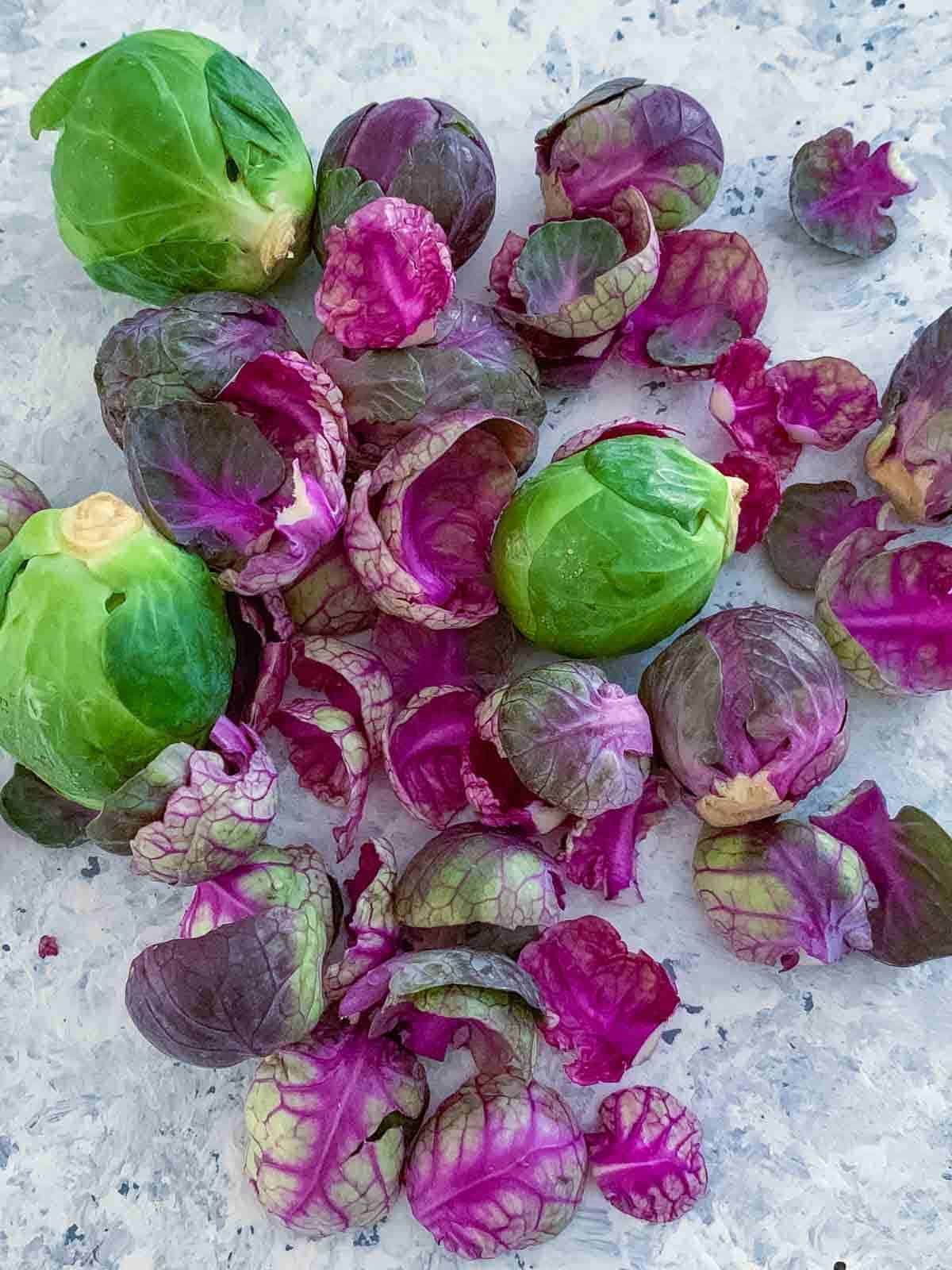 Whole green Brussels sprouts and purple Brussels sprouts leaves