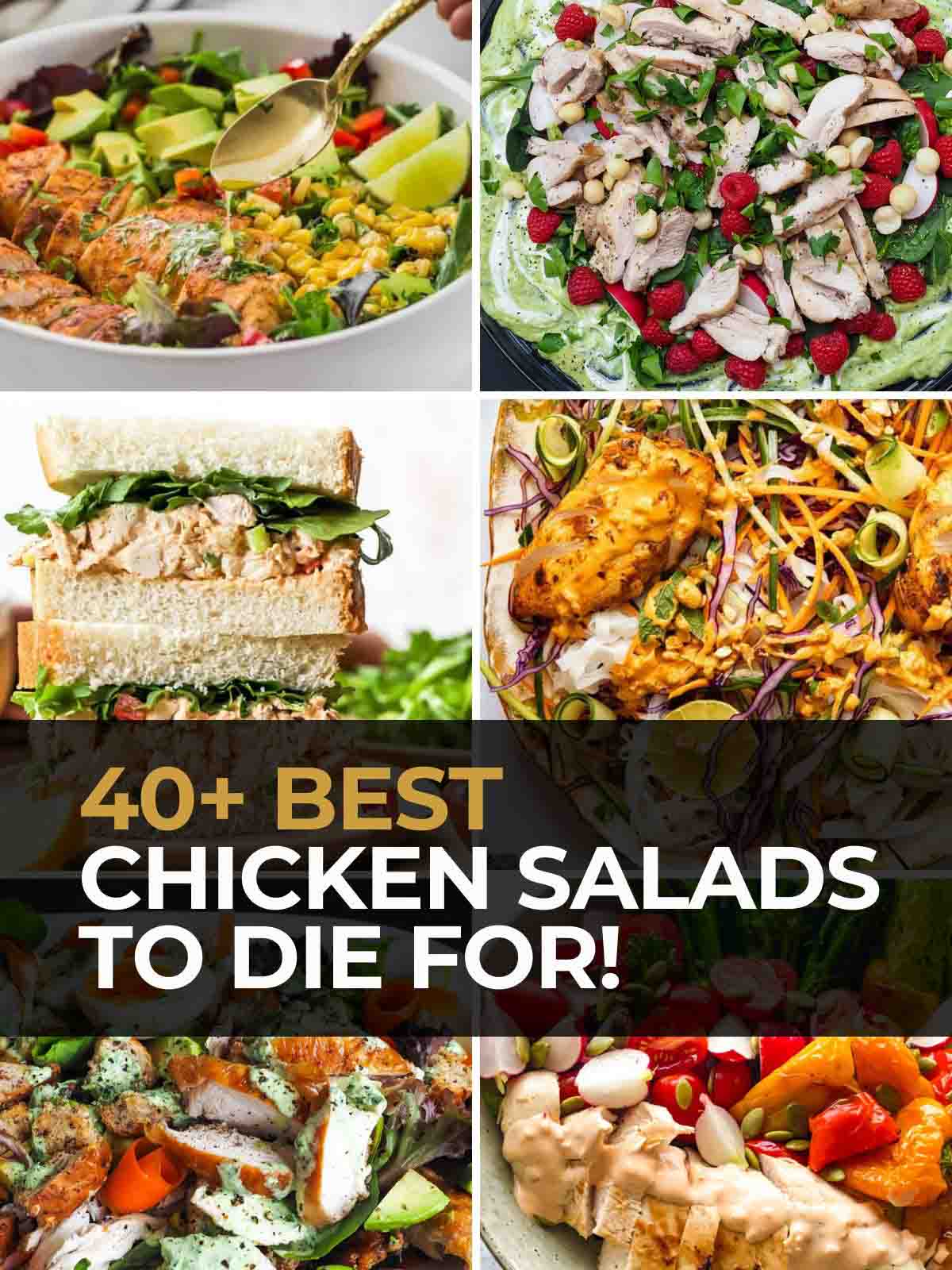 Collage if chicken salads with text overlay "40+ Best Chicken Salads To Die For"