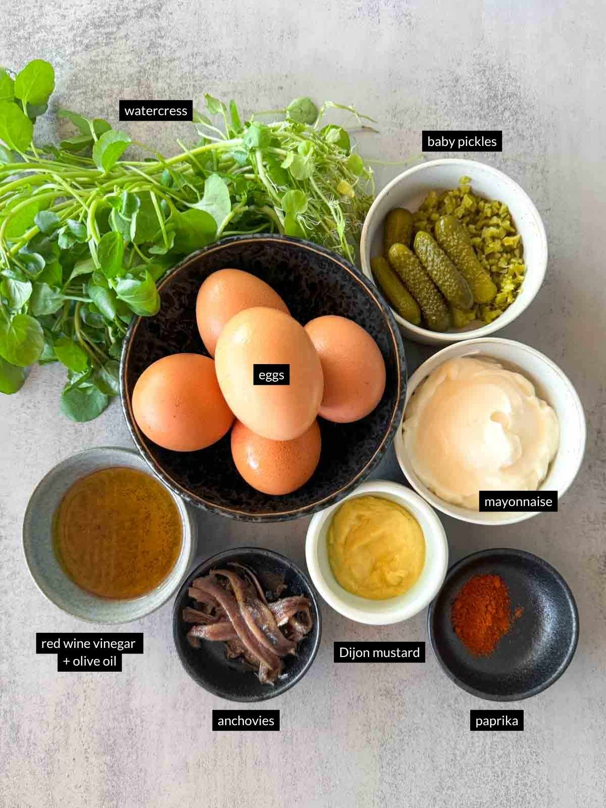 Overhead view of deviled egg ingredients including eggs, mayonnaise, Dijon mustard, paprika, anchovies, baby pickles, watercress, and a red wine vinegar olive oil dressing arranged on a light grey surface.