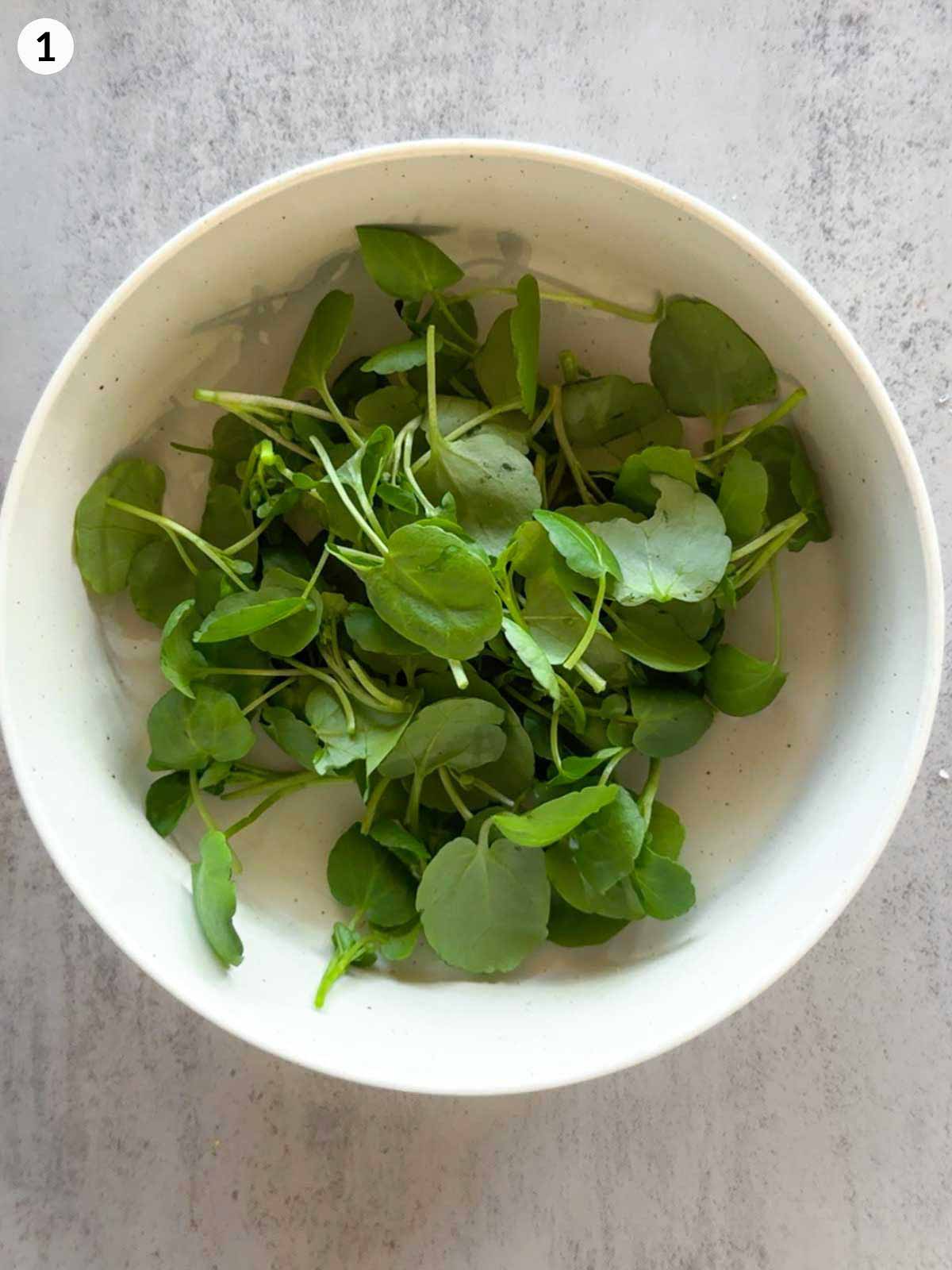 Fresh watercress leaves in a white bowl, ready to be dressed for a light, peppery salad base that complements deviled eggs.