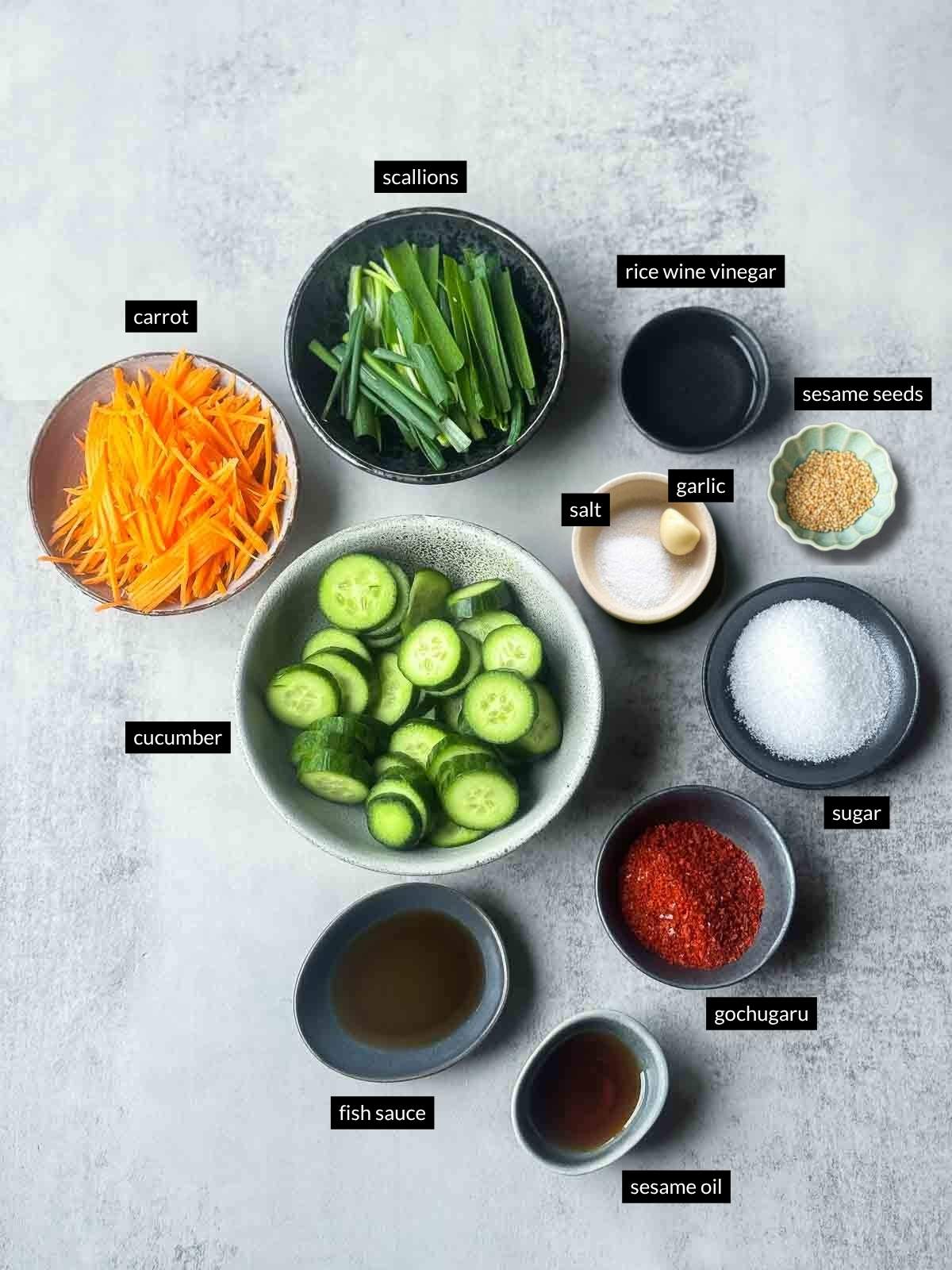 Flat lay of ingredients for Korean cucumber kimchi (Oi Kimchi), including sliced cucumber, carrot, scallions, garlic, sesame seeds, gochugaru (Korean chili flakes), fish sauce, sesame oil, rice wine vinegar, sugar, and salt arranged on a light surface.