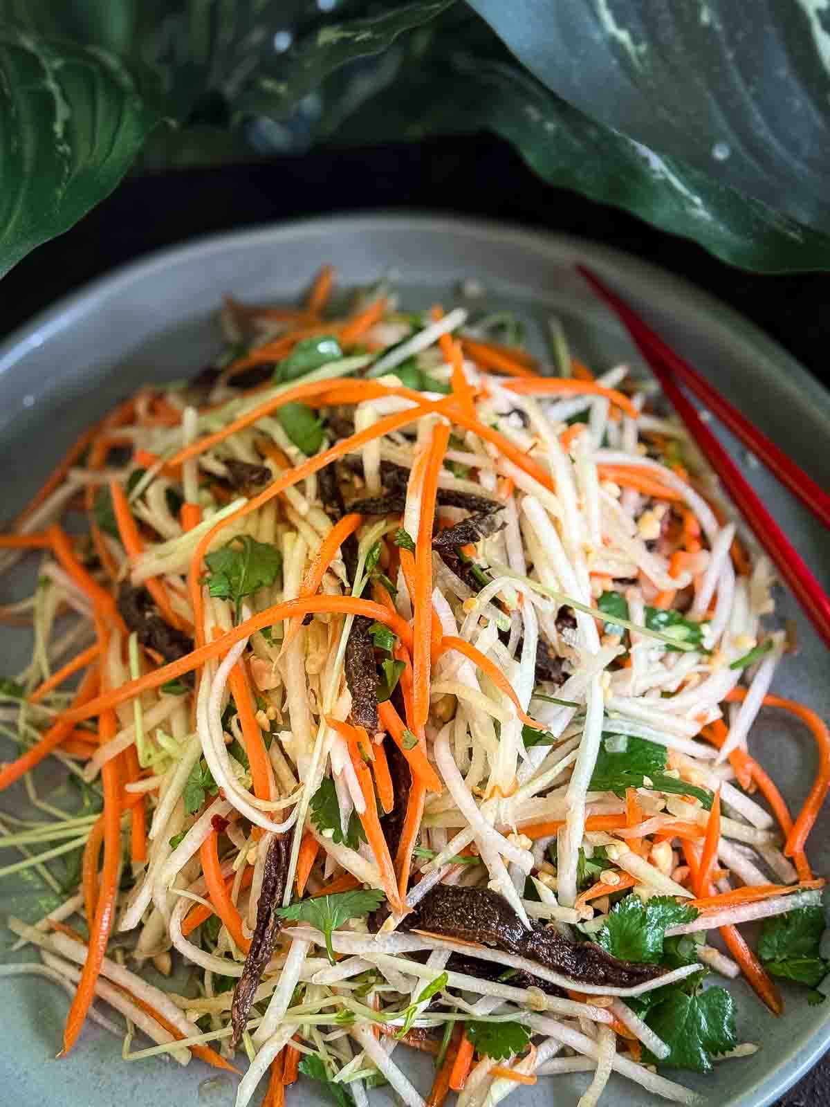 Close-up of Asian slaw with shredded kohlrabi, carrot, strips of beef jerky, fresh coriander leaves, snow pea sprouts, and crushed peanuts in a grey bowl.