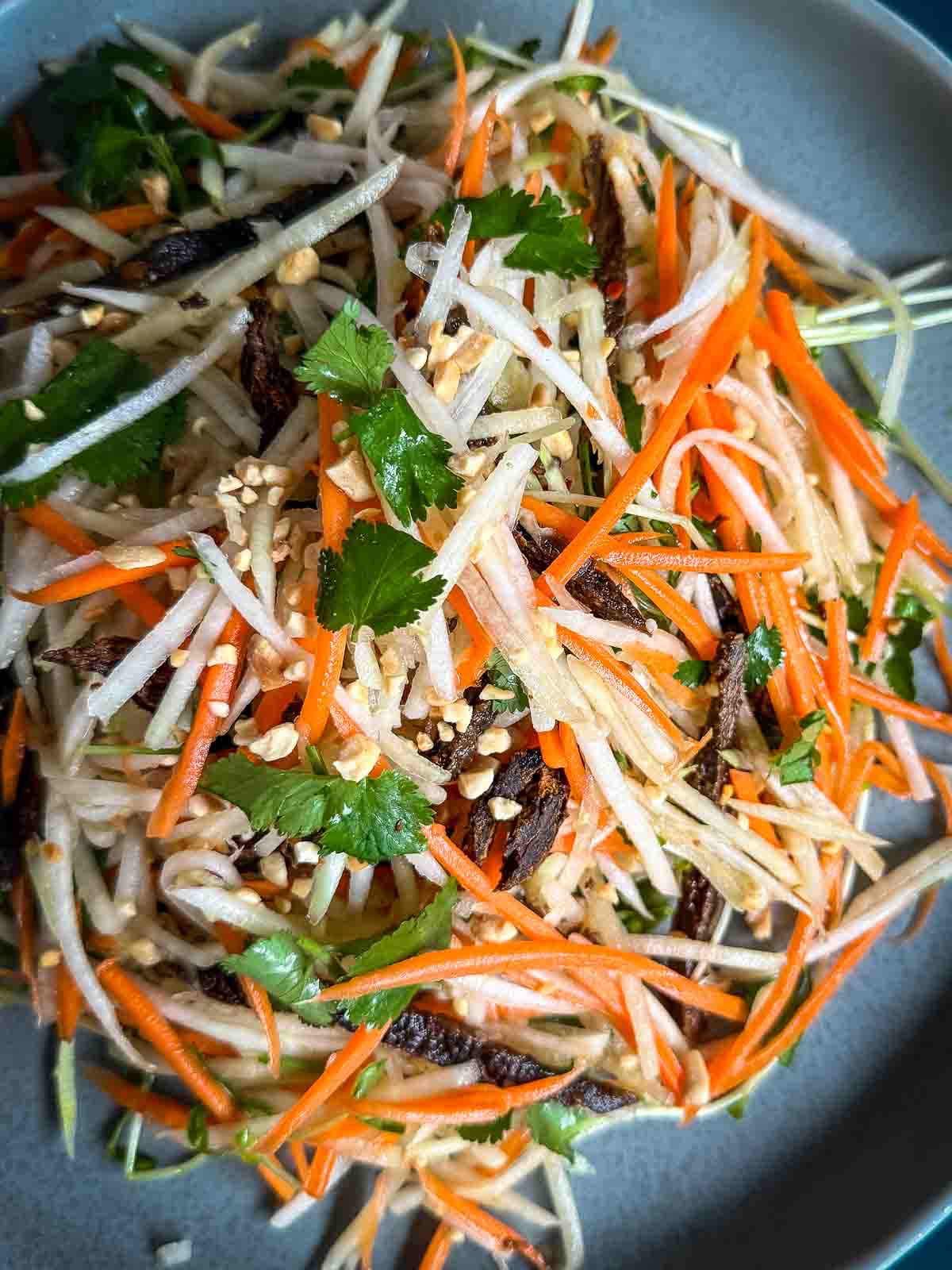 Close-up of Asian slaw with shredded kohlrabi, carrot, strips of beef jerky, fresh coriander leaves, snow pea sprouts, and crushed peanuts in a grey bowl.